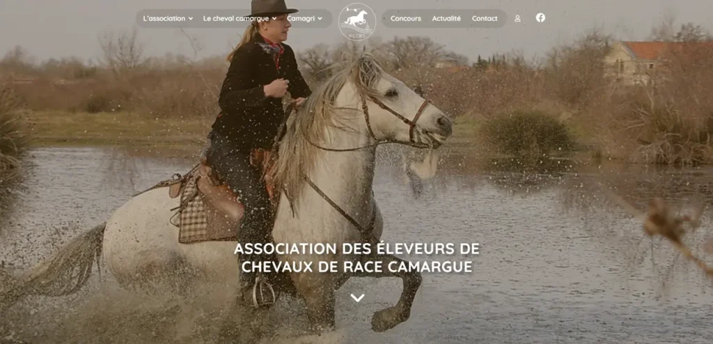 Site de l'association des éleveurs de chevaux de race Camargue (AECRC), réalisé par Walma